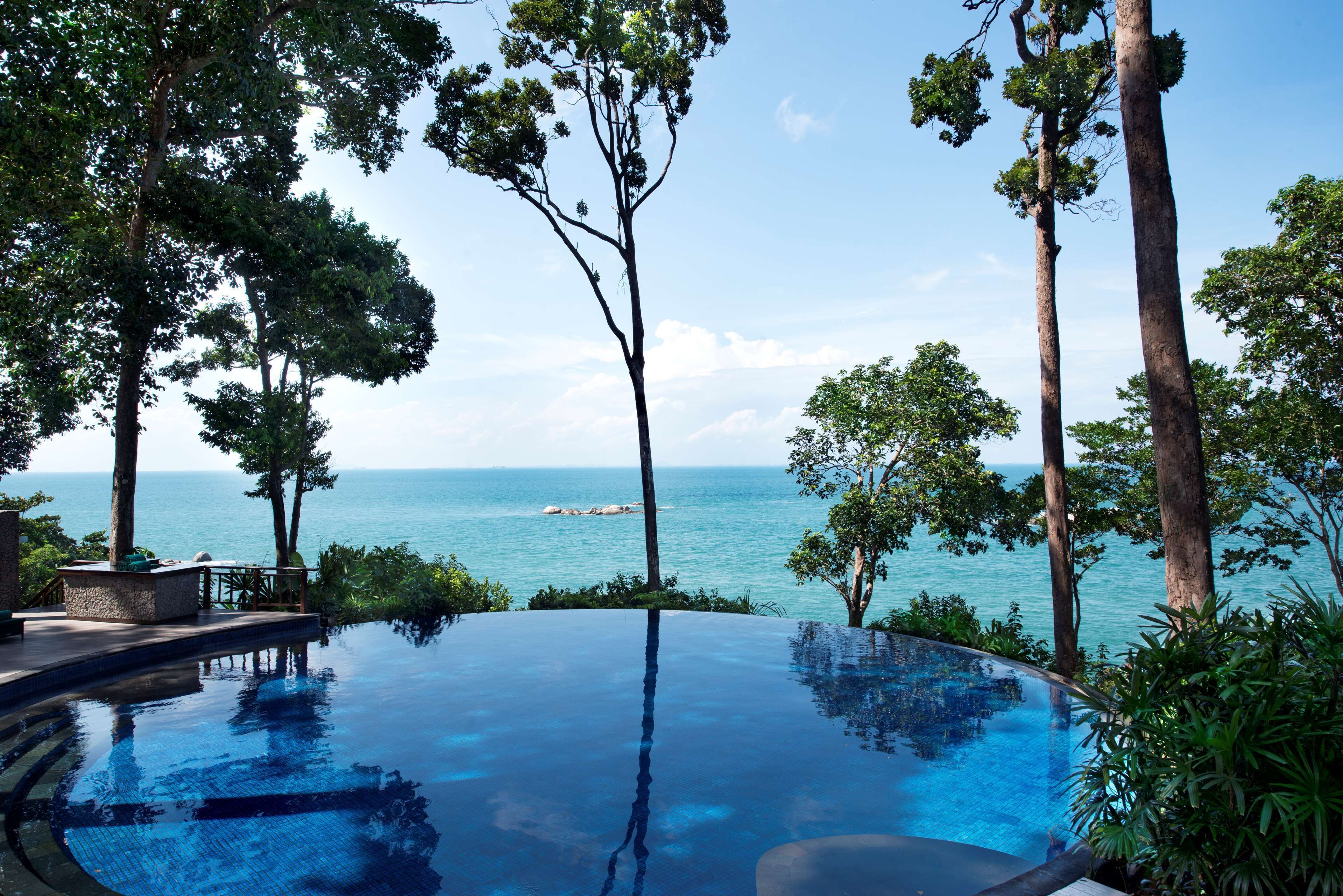 A infinity pool with a view of the ocean and surrounding trees.