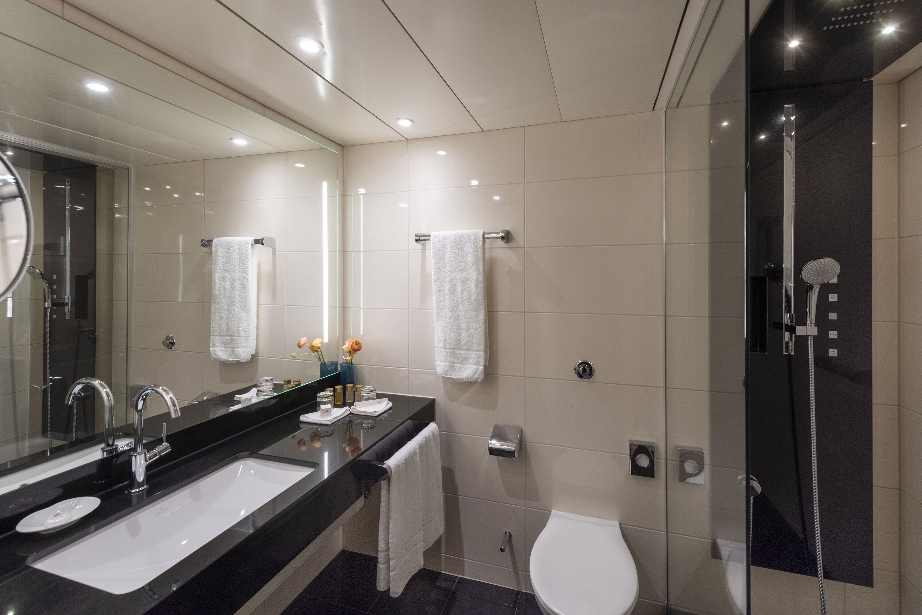 A modern bathroom with a dual sink vanity, a large mirror, a toilet, and a walk-in shower.