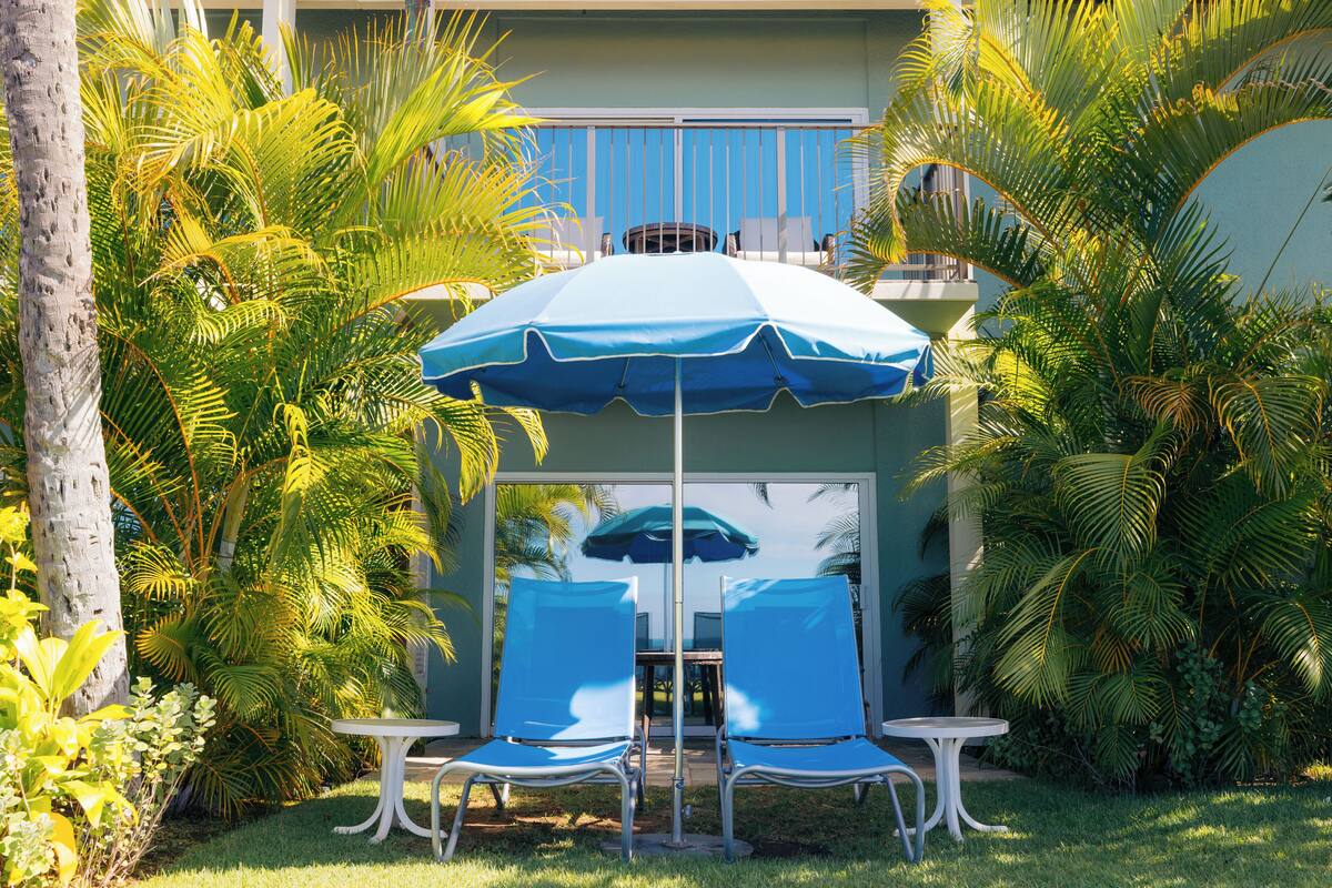 A patio with two blue chairs and a table, surrounded by lush tropical plants and a blue umbrella.