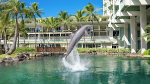 A dolphin jumping out of a pool with a hotel in the background. - The Kahala Hotel & Resort (Honolulu)