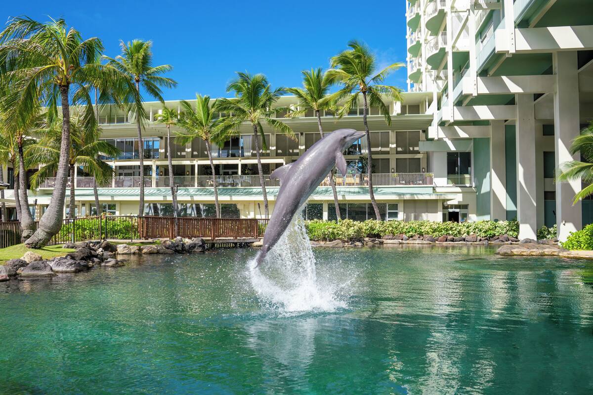 A dolphin jumping out of a pool with a hotel in the background.