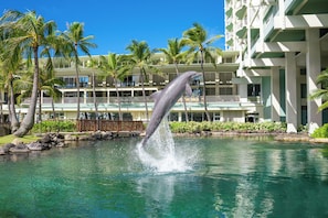 Dolphin Lanai | Balcony view