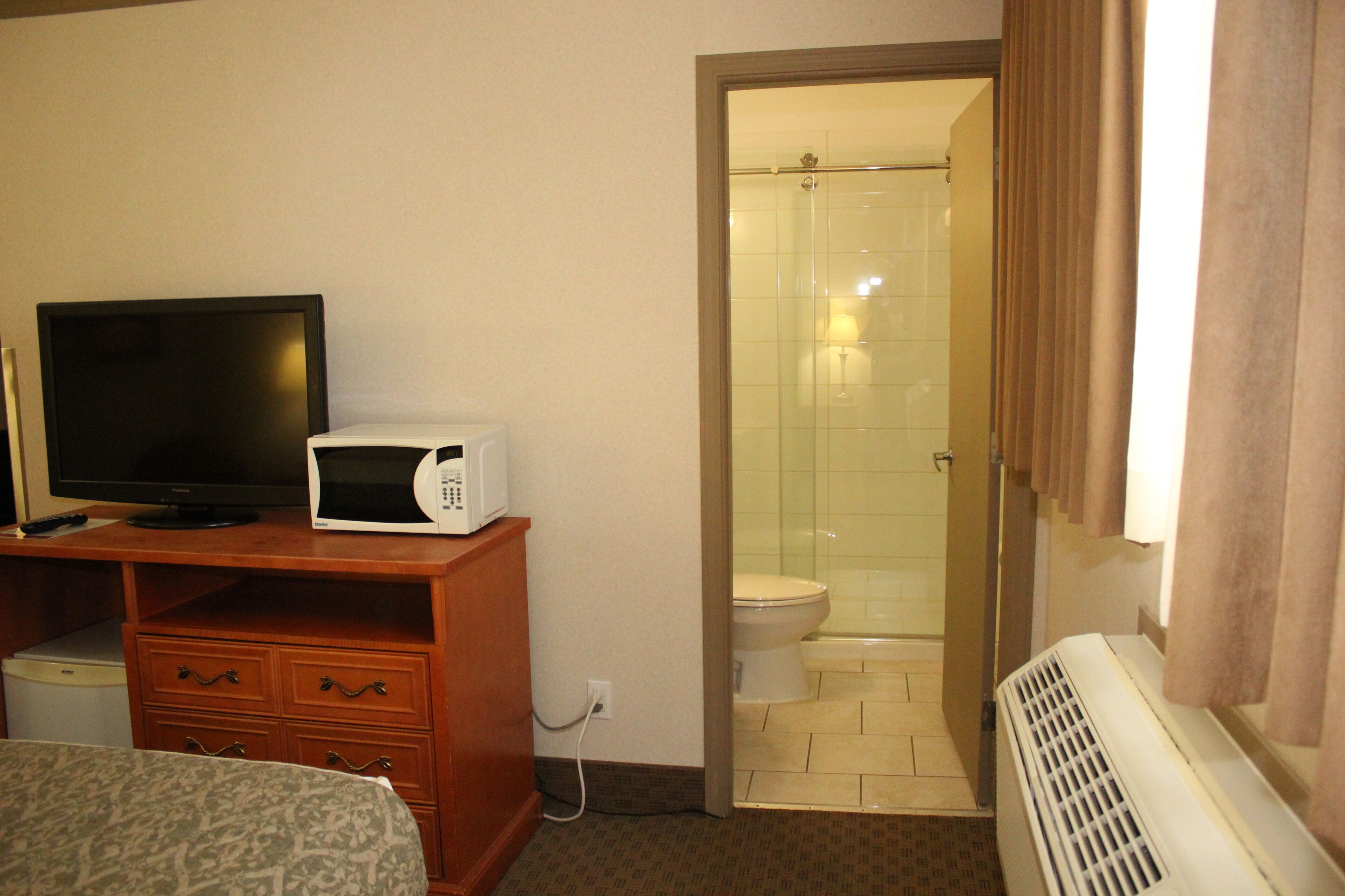 A hotel room with a bed, a TV, a microwave, a bathroom with a shower, and a heater.