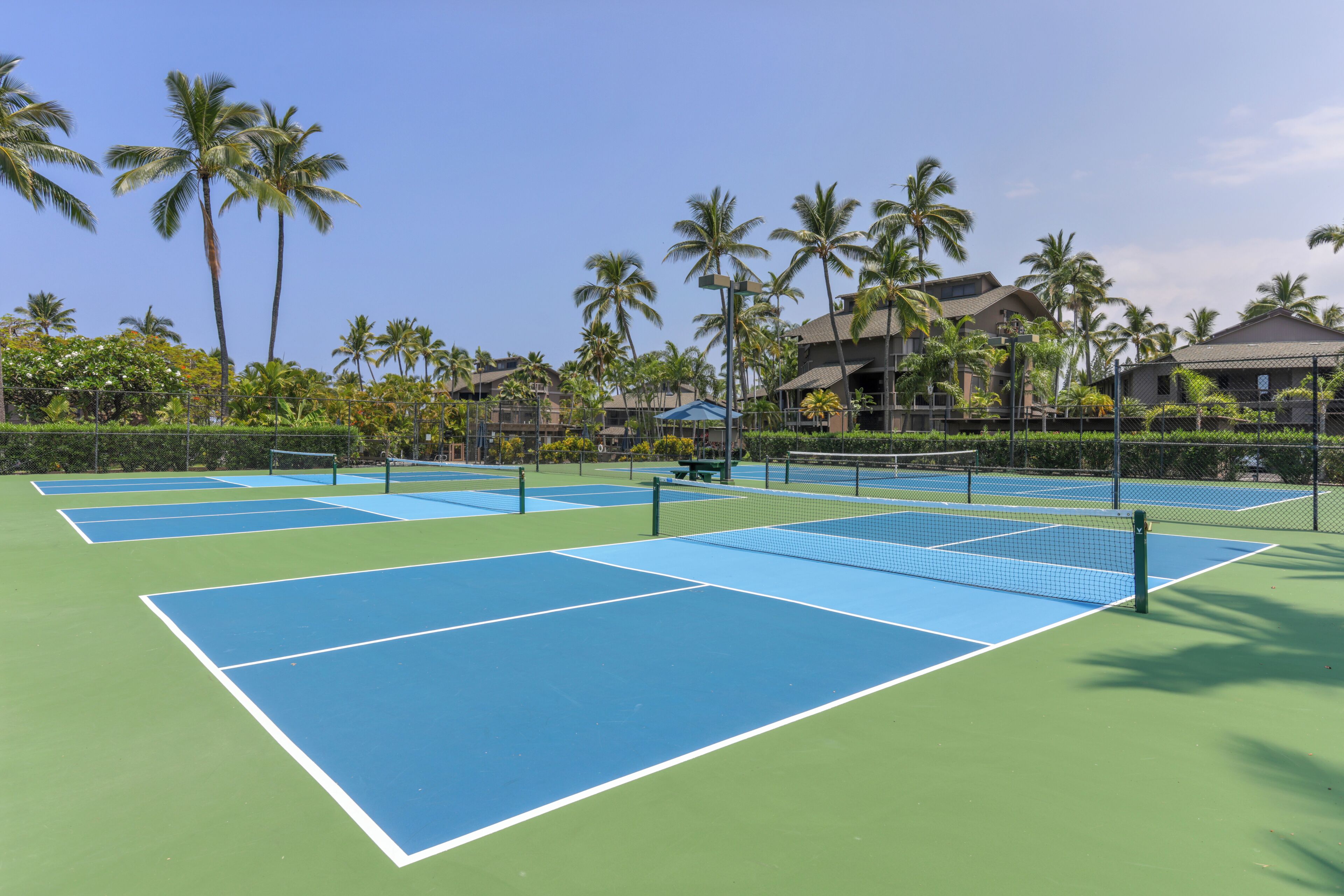 A tennis court with multiple courts, surrounded by palm trees and buildings.