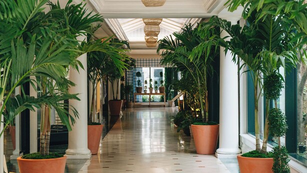 A corridor with a checkered ceiling, large potted plants, and hanging wicker lamps. - The Charleston Place (Charleston)