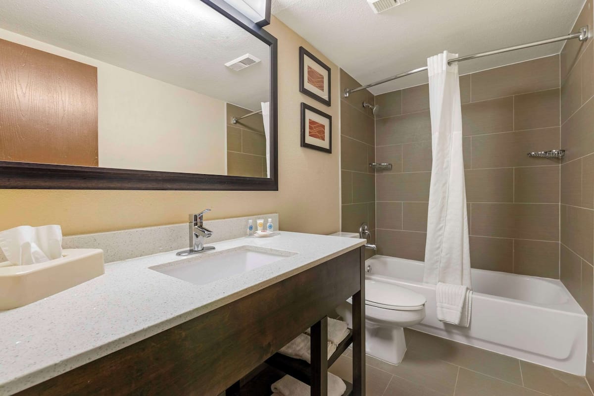A bathroom with a double sink vanity, a toilet, a bathtub, and a shower.