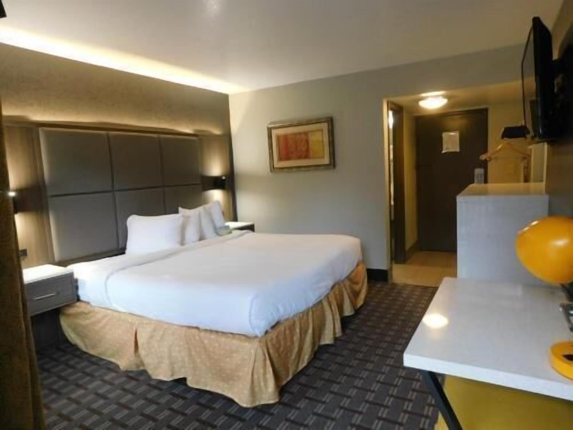 Premium bedding, pillow-top beds, desk, iron/ironing board
