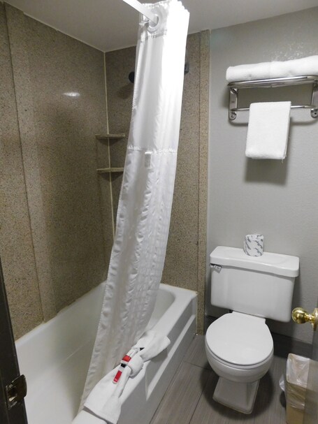 Days Inn Suites by Wyndham Downtown Gatlinburg Parkway - Image 102