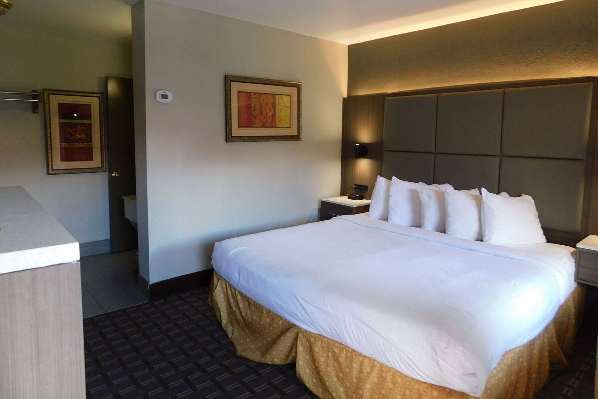 A hotel room with a large bed, a nightstand, a wall-mounted lamp, and a framed picture on the wall.