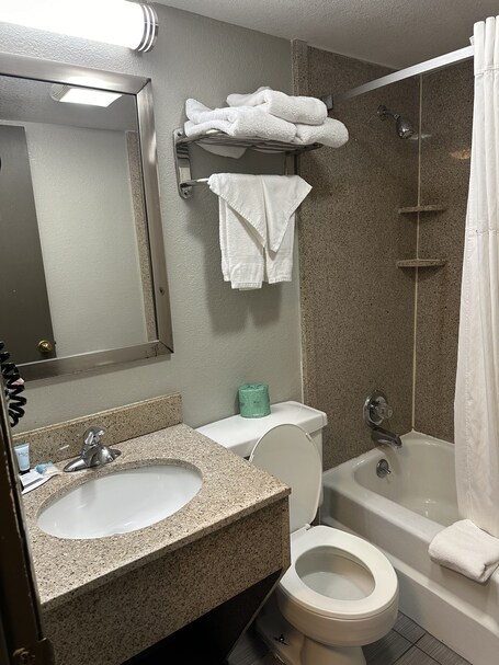 Days Inn Suites by Wyndham Downtown Gatlinburg Parkway - Image 48