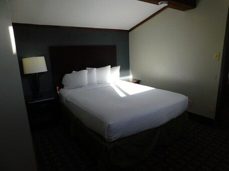 Days Inn Suites by Wyndham Downtown Gatlinburg Parkway - Image 84