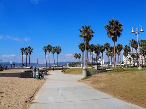 A coastal promenade with a concrete walkway, palm trees, and a view of the sea and mountains in the distance.