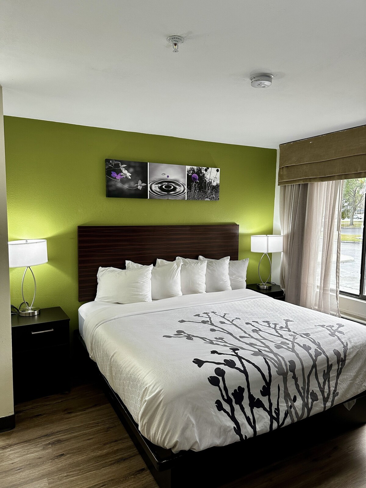 サバンナ Sleep Inn Savannah Gateway I-95 ホテル 客室