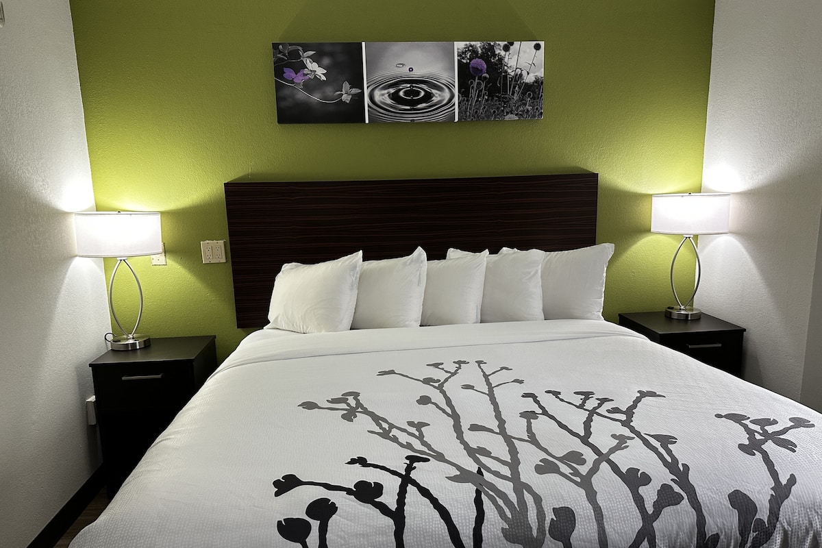 Room, 1 King Bed, Accessible, Non Smoking | Desk, laptop workspace, blackout curtains, soundproofing