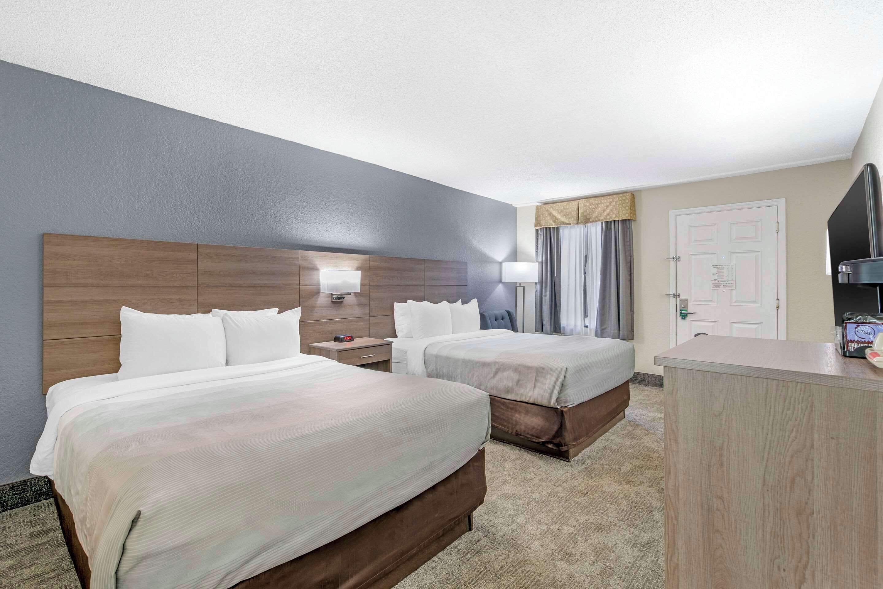 premium bedding, down duvets, pillow-top beds, blackout curtains