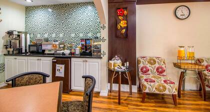 Rodeway Inn & Suites Houston near Medical Center