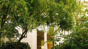 A staircase surrounded by lush green foliage leading to a building entrance. - Le 5 Particulier (Neuilly-sur-Seine)