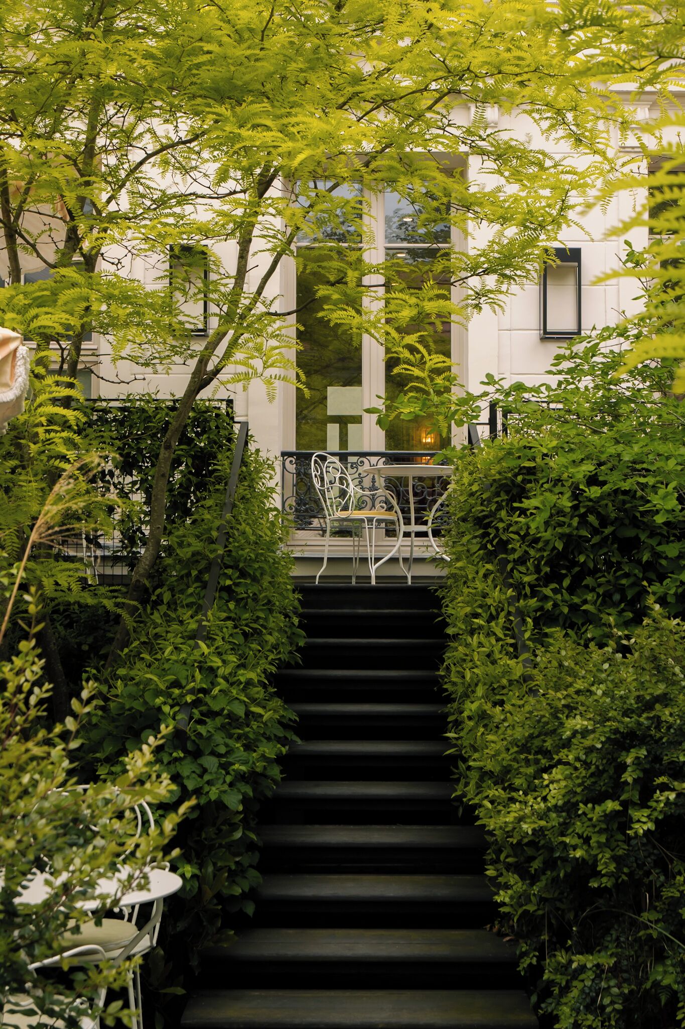 A staircase surrounded by lush greenery, leading to a building with a white facade.