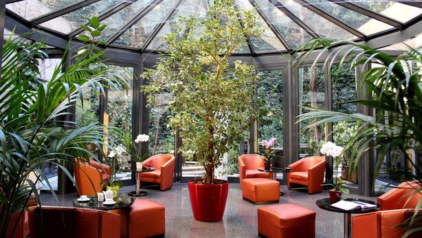 Un invernadero con un árbol grande, asientos anaranjados y paredes de cristal.