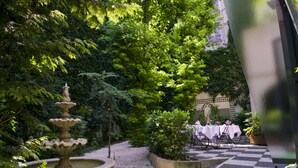 Un patio con una fuente, mesas y plantas en macetas.