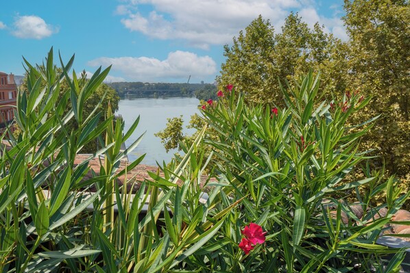 Double Room, Terrace | Terrace/patio