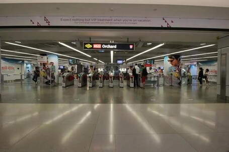 Pan Pacific Orchard - Image 45