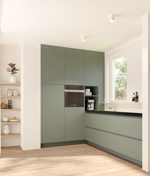 Full-sized fridge, microwave, oven, stovetop