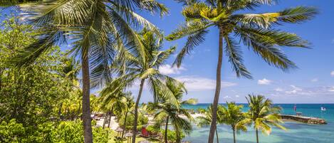 Un resort tropical con palmeras, una playa y un muelle.