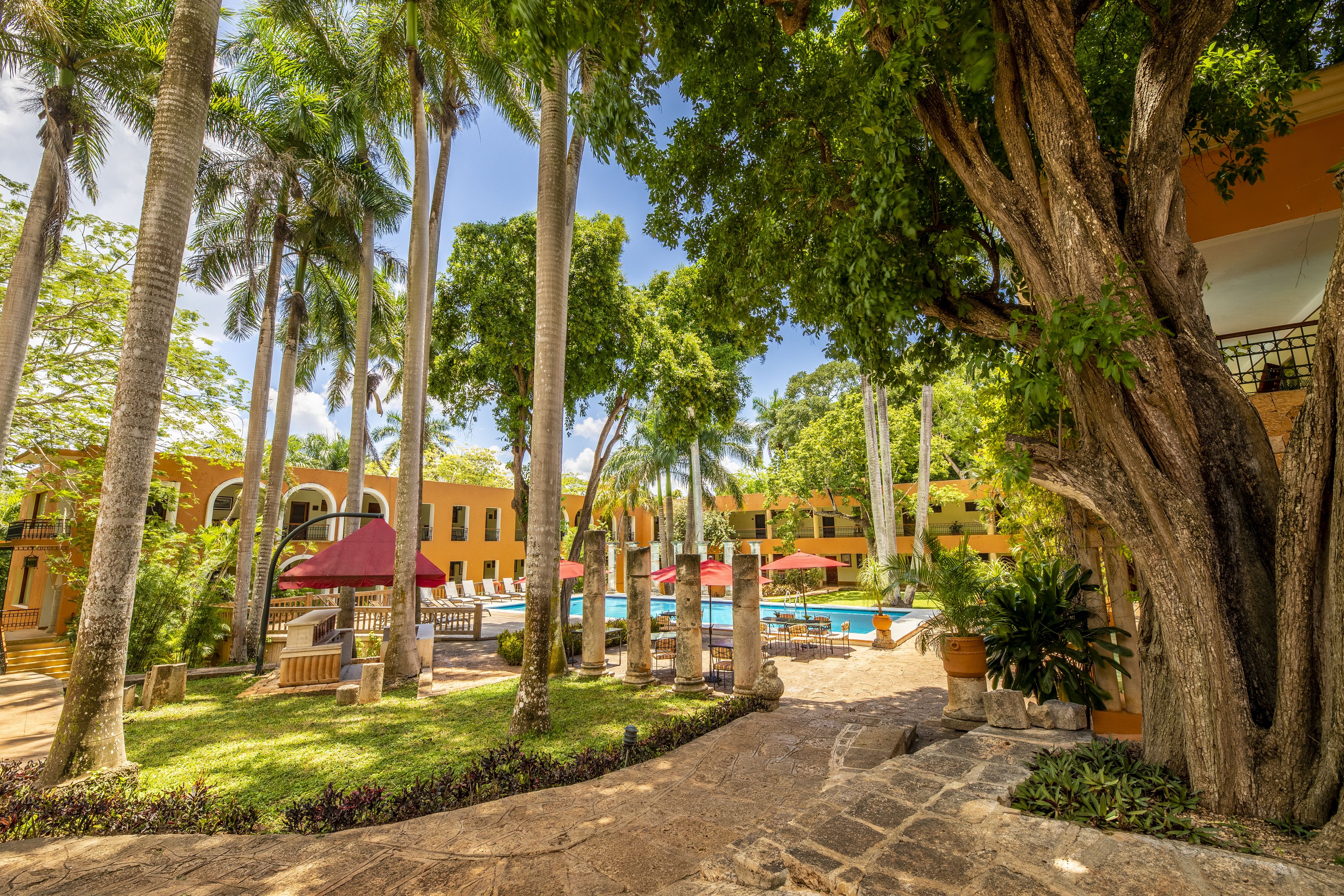 superior room, garden view | view from room