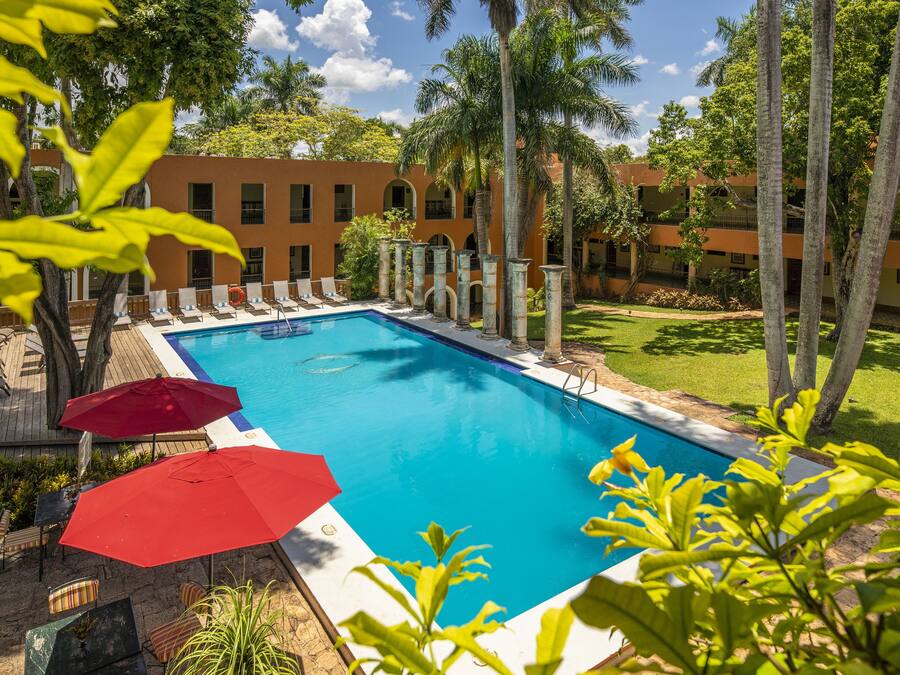 Outdoor pool, pool loungers