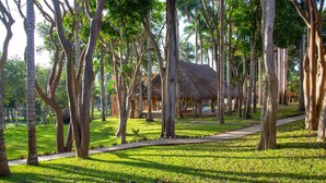 Un parc verdoyant et luxuriant, avec de grands arbres et une structure dont le toit est fait de chaume.