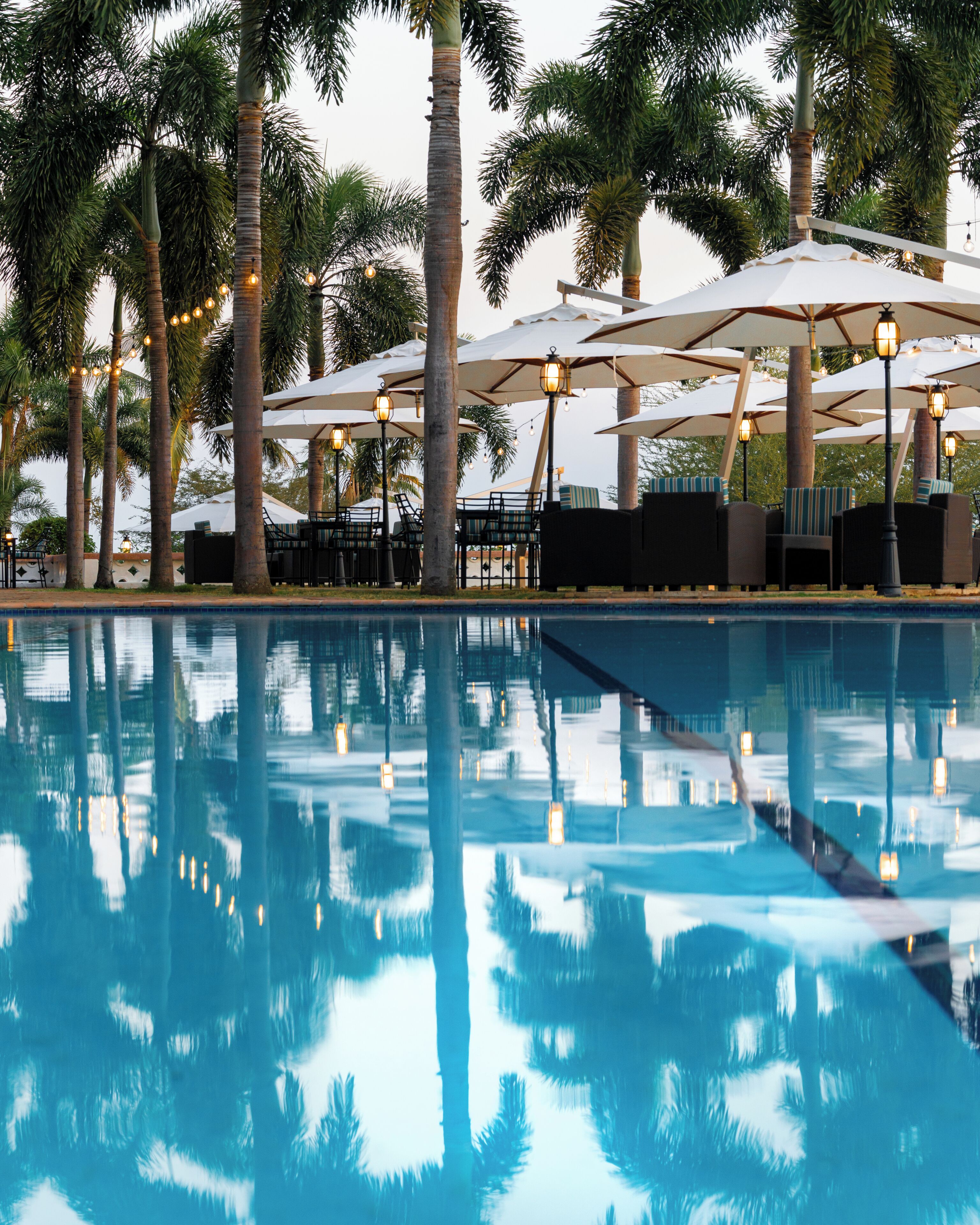 A poolside area with umbrellas, lounge chairs, and palm trees.