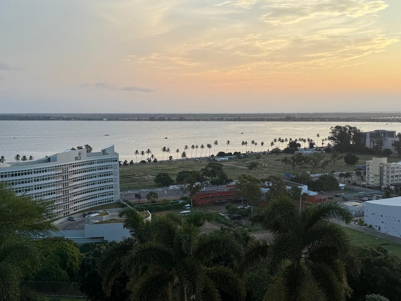 Un hôtel situé sur la côte, offrant une vue sur la mer et les palmiers.