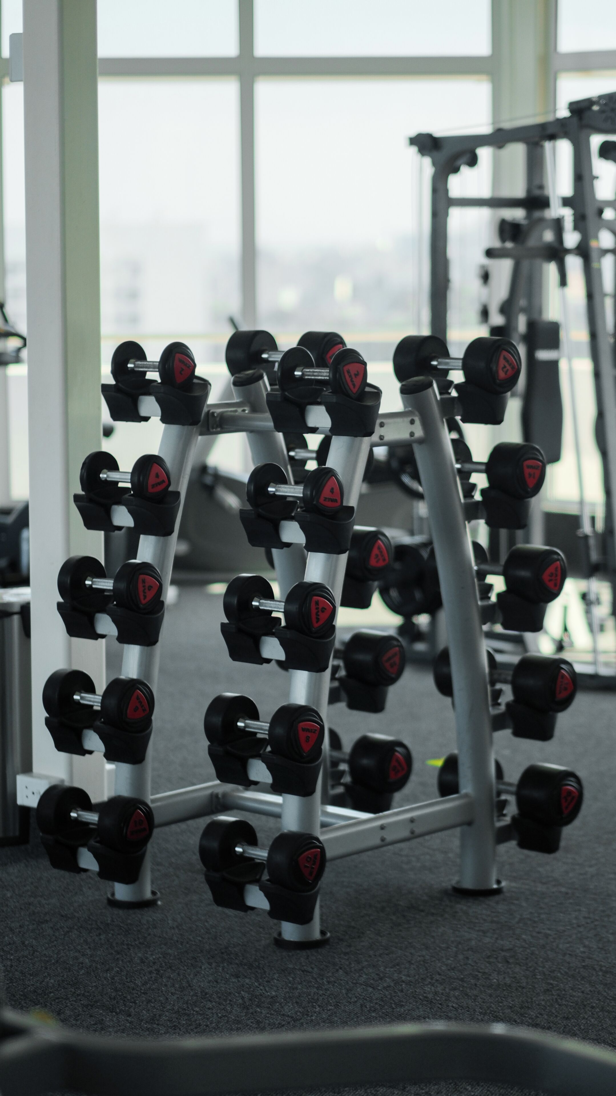 Un gimnasio con un estante de mancuernas y otros equipos de ejercicio.