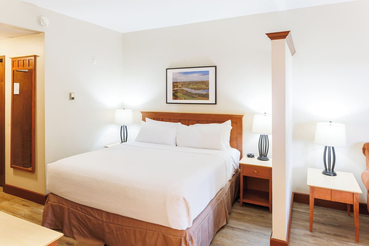 Habitación de hotel impecable con una cama grande, dos mesitas de noche con lámparas, un escritorio pequeño y un cuadro en la pared.
