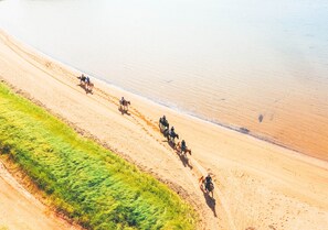 Horseback riding