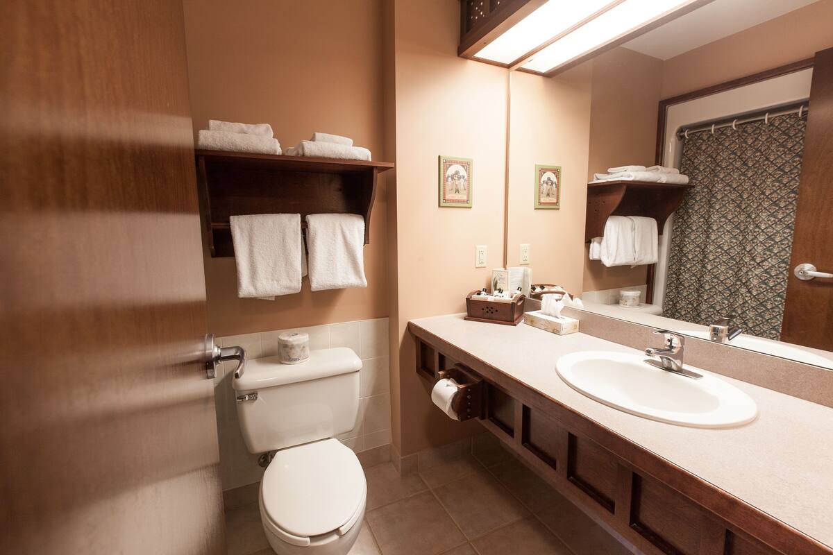 junior suite, 1 king bed with sofa bed | bathroom | free toiletries, hair dryer, towels