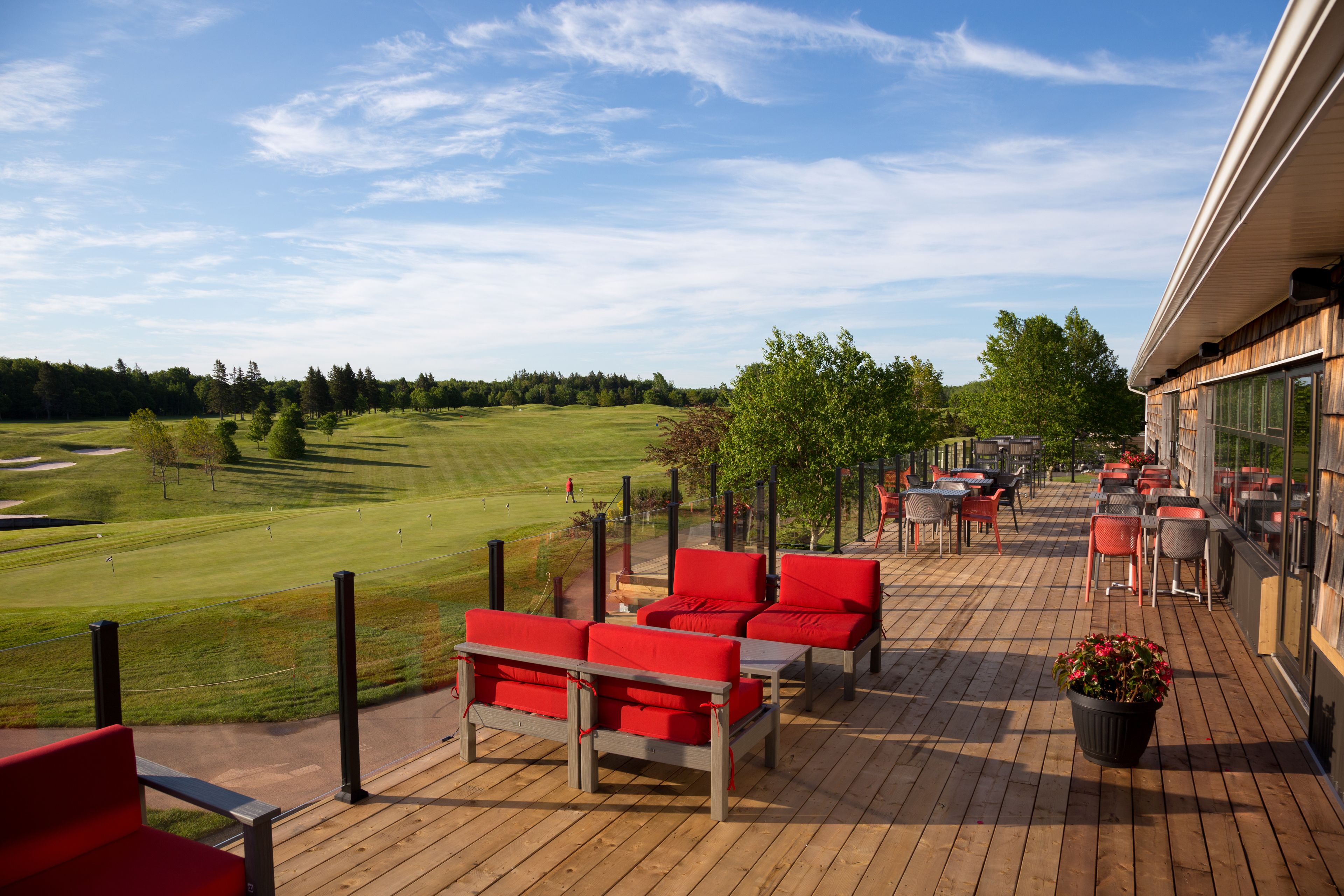 Bar (in der Unterkunft)