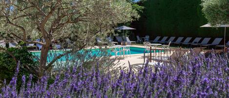 套房 (Swimming pool view) | 外觀