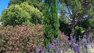Jardin