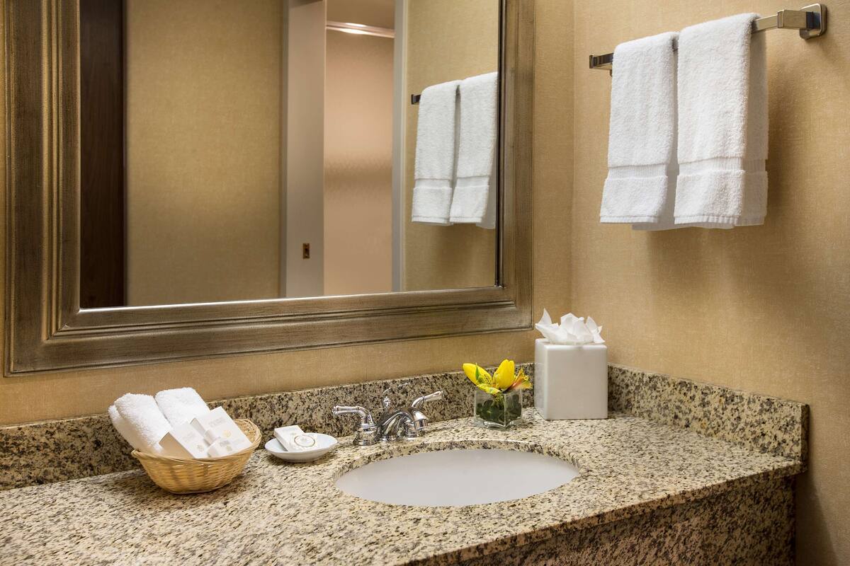 combined shower/bathtub, free toiletries, hair dryer, towels