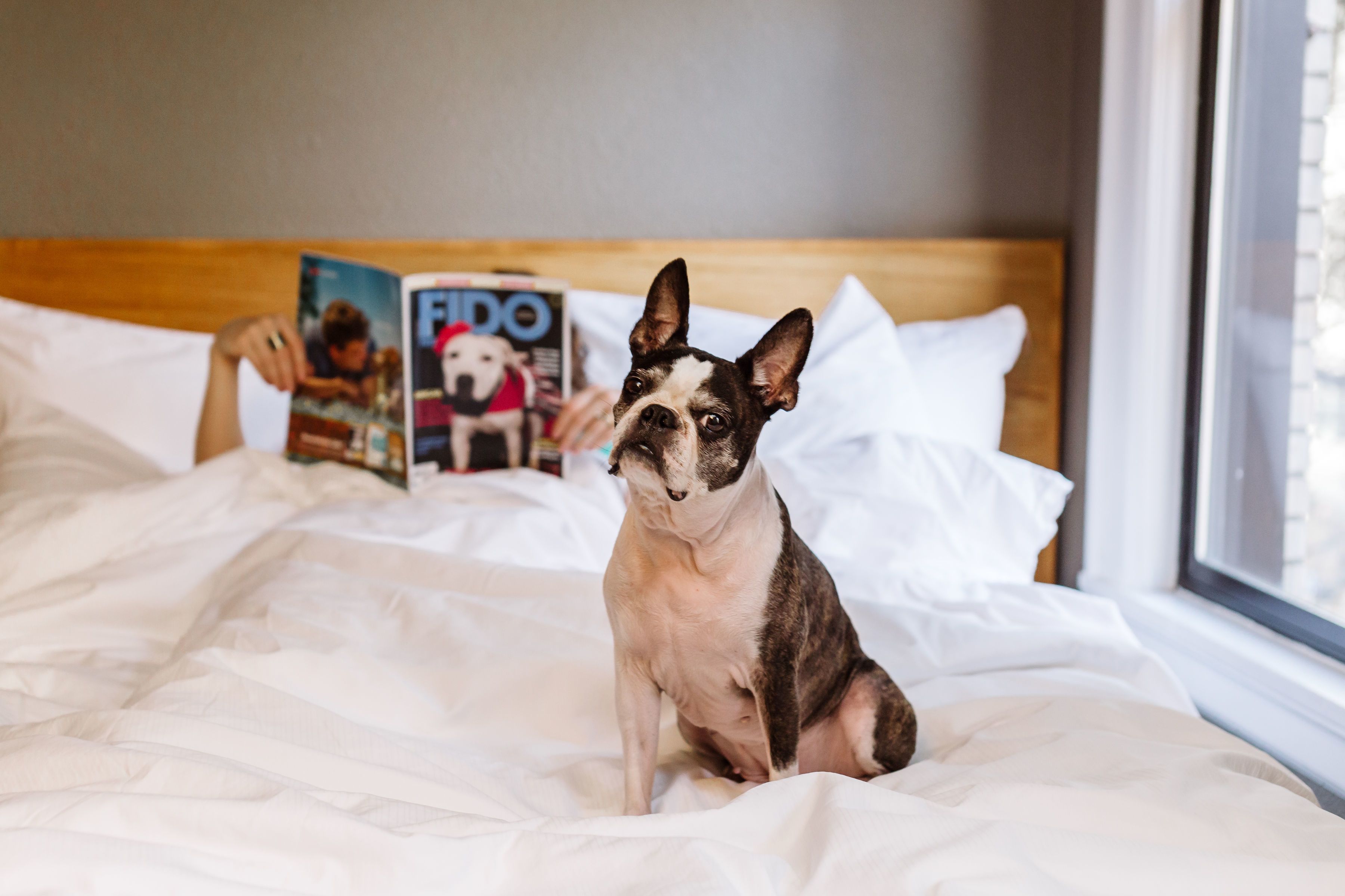 Foto - Hotel Max