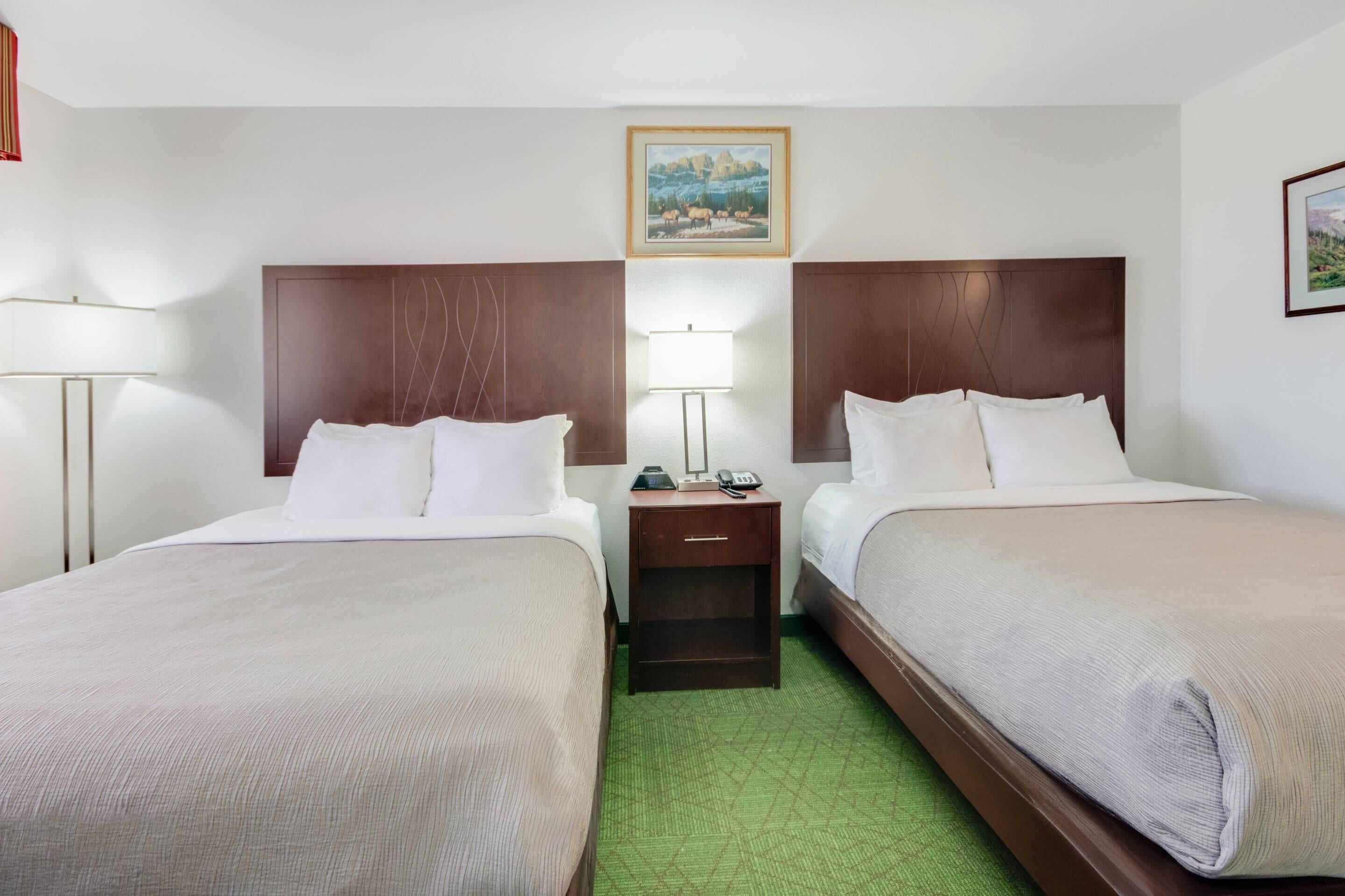 standard room, 2 queen beds, non smoking | desk, blackout curtains, iron/ironing board, bed sheets