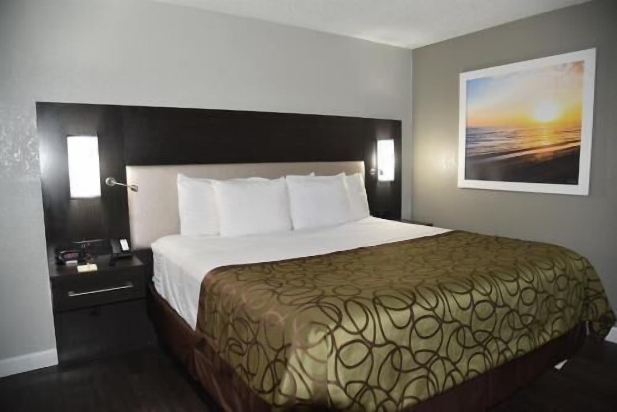 Desk, free cribs/infant beds, rollaway beds, free WiFi
