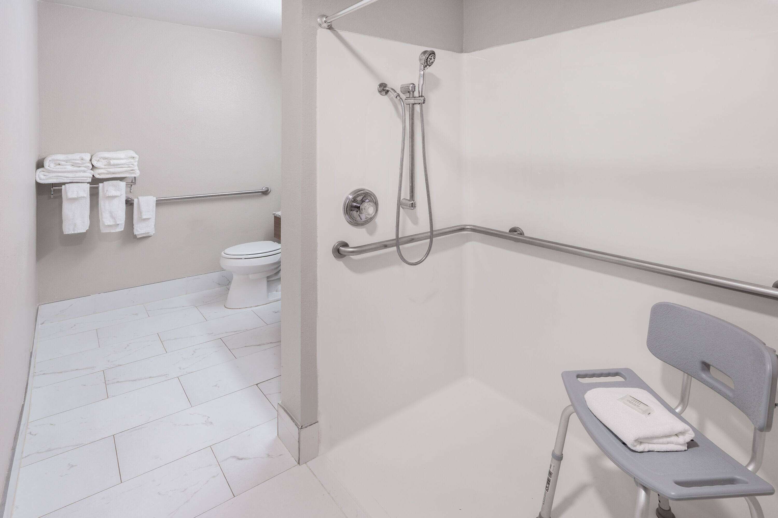 A bathroom with a shower, a toilet, and a grab bar.