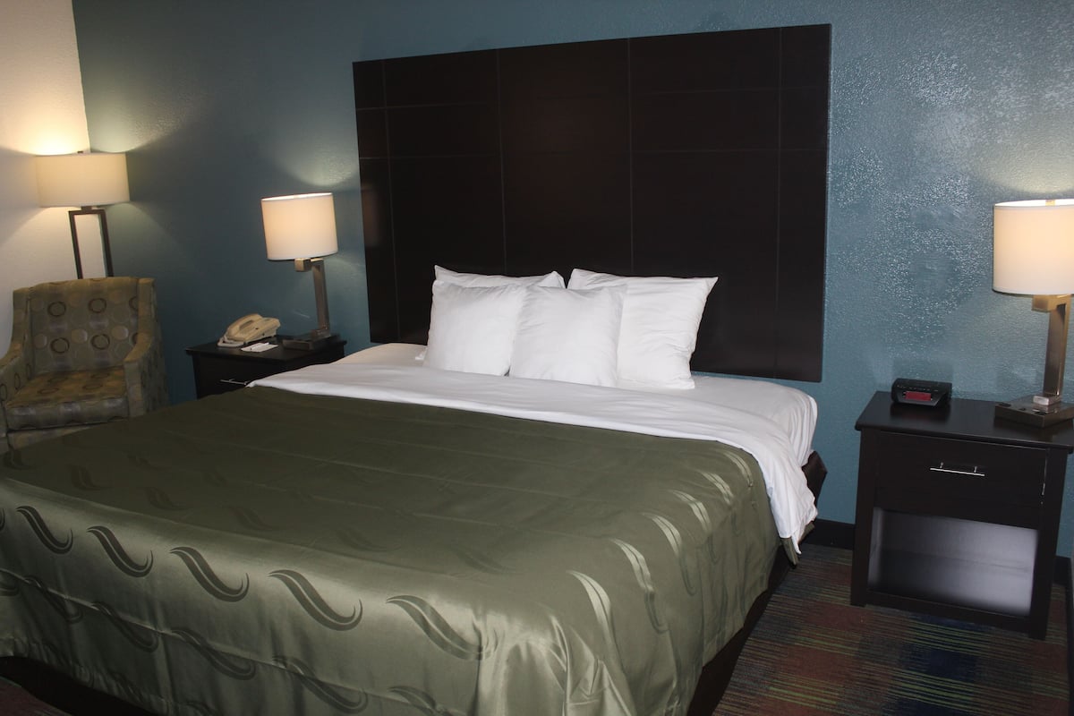 Standard Room, 1 King Bed, Non Smoking | Desk, laptop workspace, blackout drapes, iron/ironing board