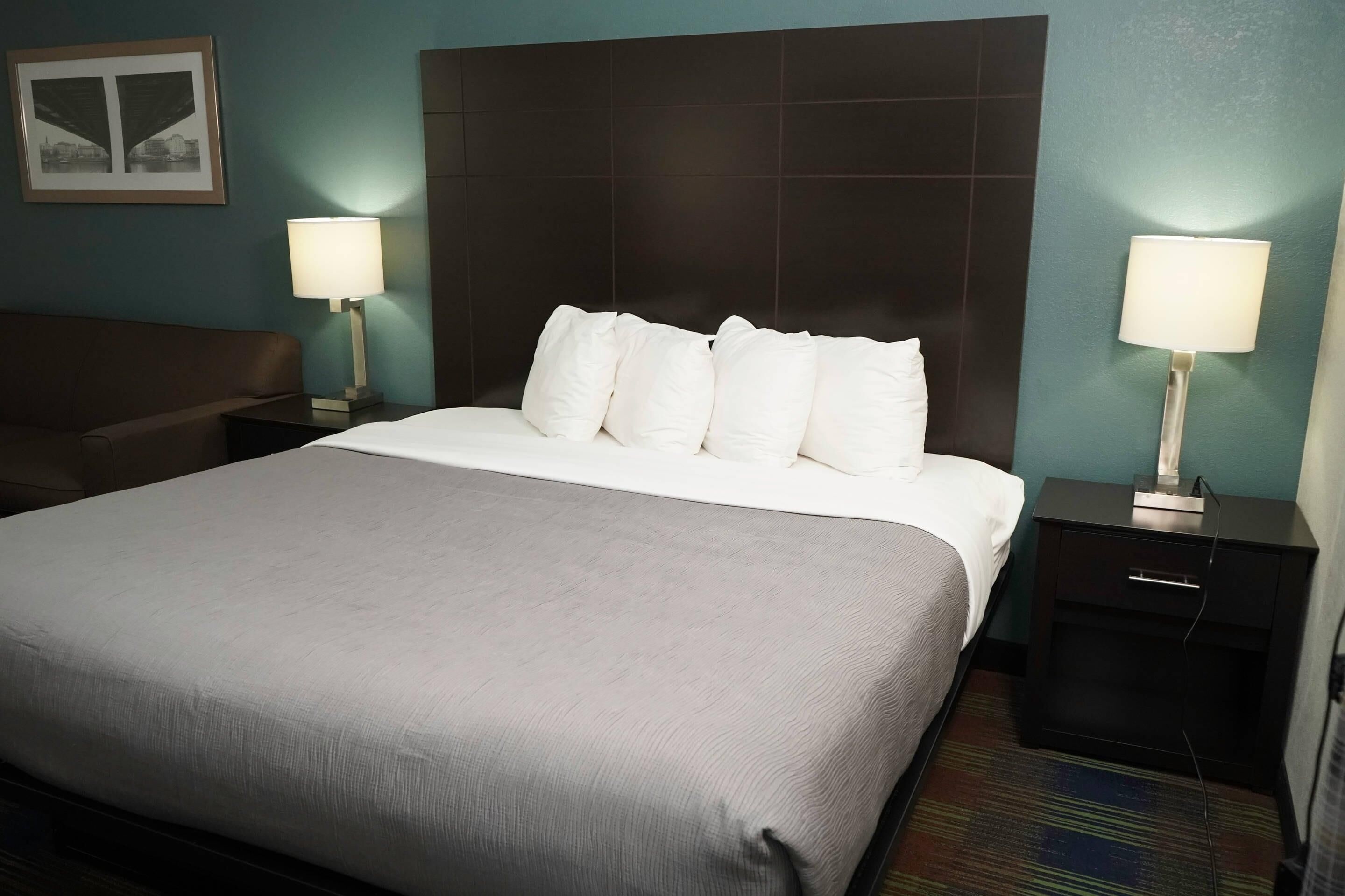 Habitación de hotel con una cama grande, dos mesitas de noche con lámparas, un cabecero y un cuadro enmarcado en la pared.