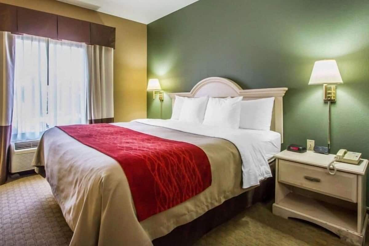 Iron/ironing board, free WiFi, bed sheets