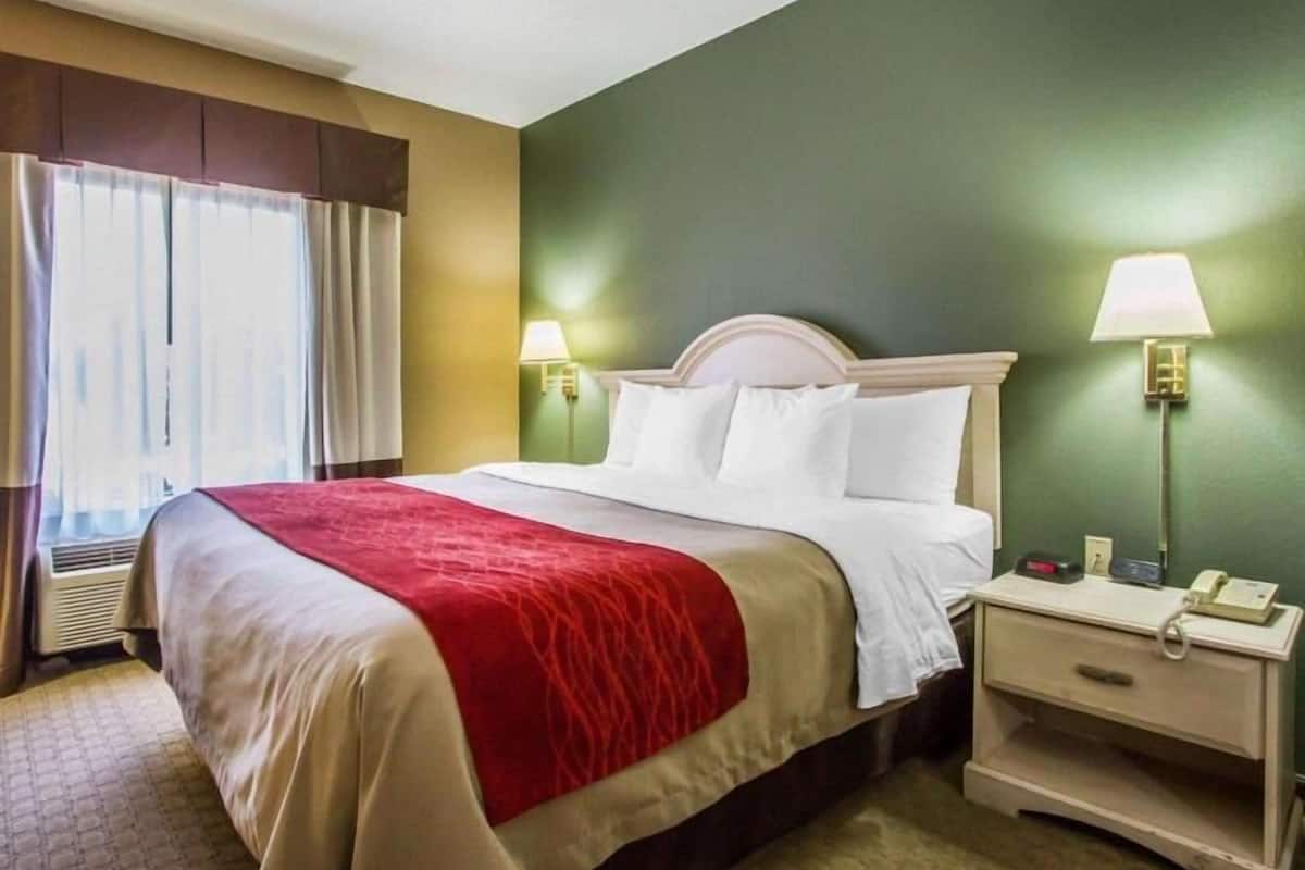 Iron/ironing board, free WiFi, bed sheets