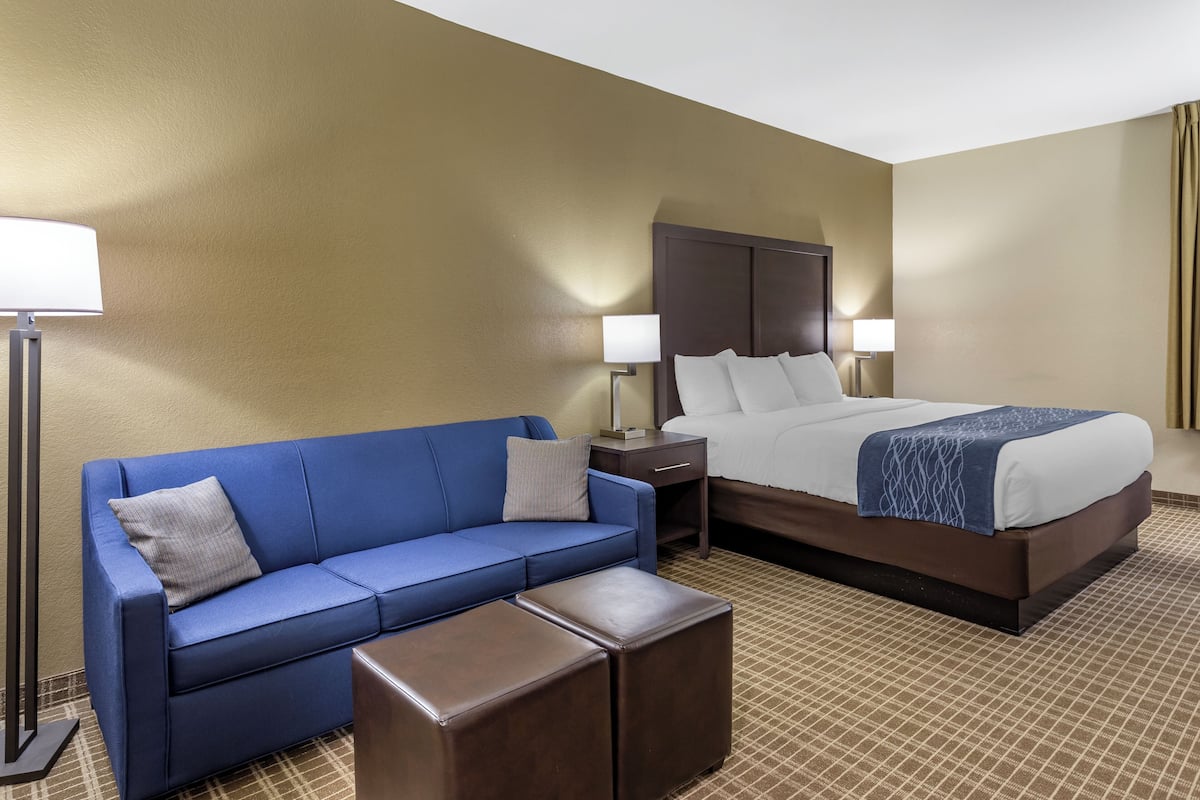 Suite, 1 King Bed with Sofa bed, Non Smoking